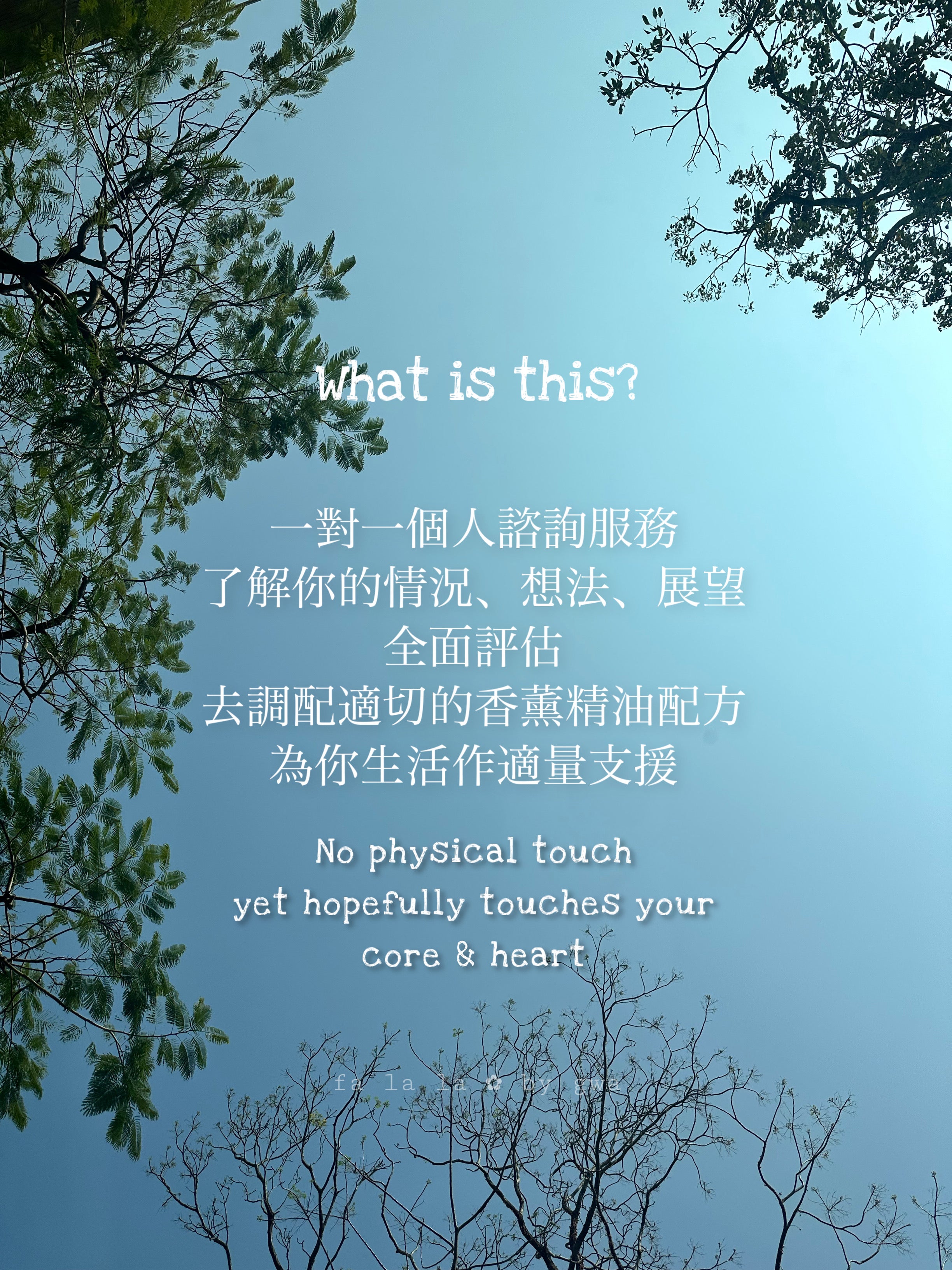 ✿ 一對一香薰治療配方諮詢