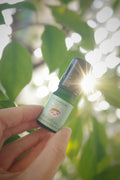 ✿ bear with you ✿ immunity & spiritual defending roll-on  5ml